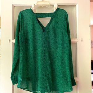 CAbi long sleeve sheer blouse. Size M.